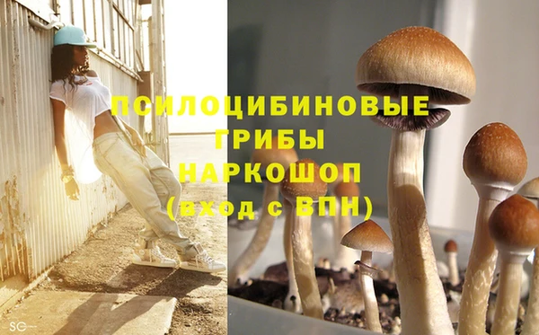 кокс Алексин