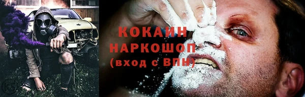 кокс Алексин