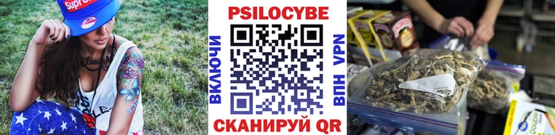 Псилоцибиновые грибы Cubensis  Пенза 