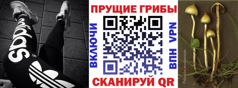 Псилоцибиновые грибы Magic Shrooms Пенза
